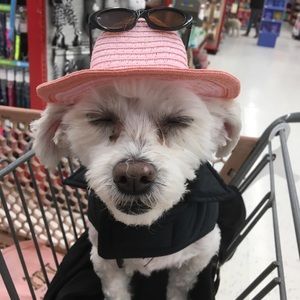 Meet your Posher, Gretchen